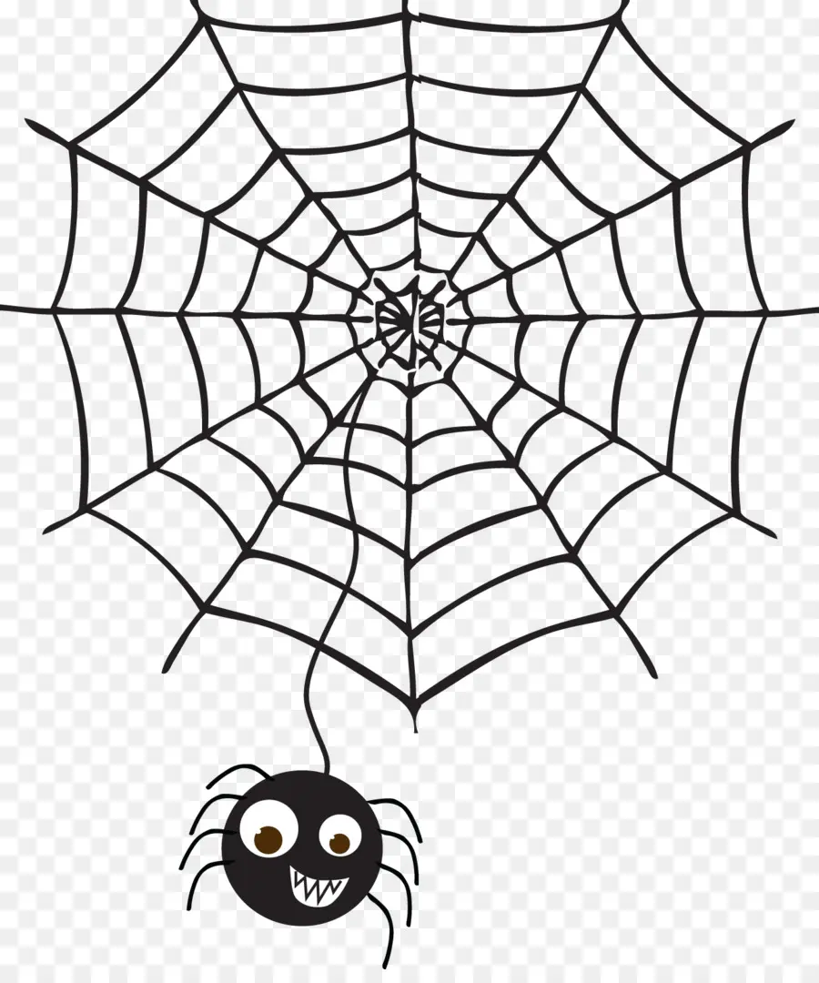 паук，веб паук PNG