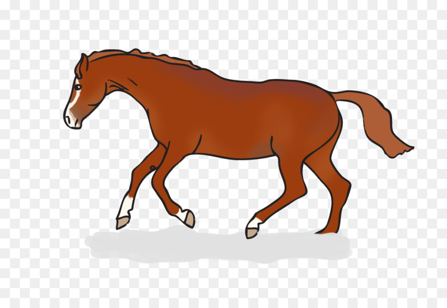 лошадь，конная вольтижировка PNG