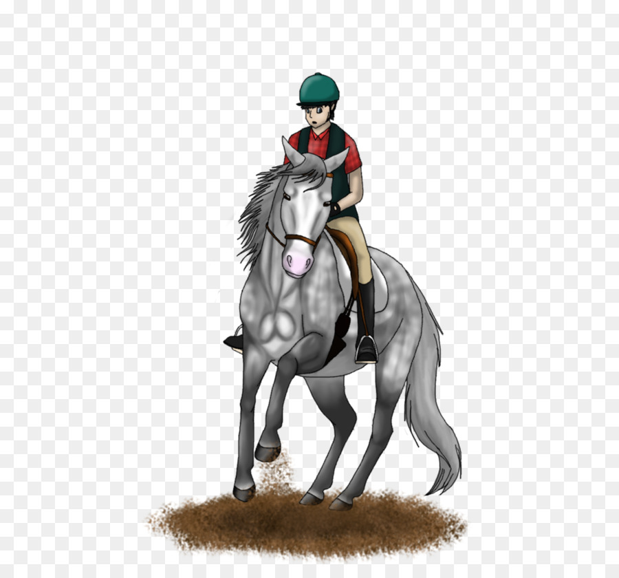 English Riding，Stallion PNG