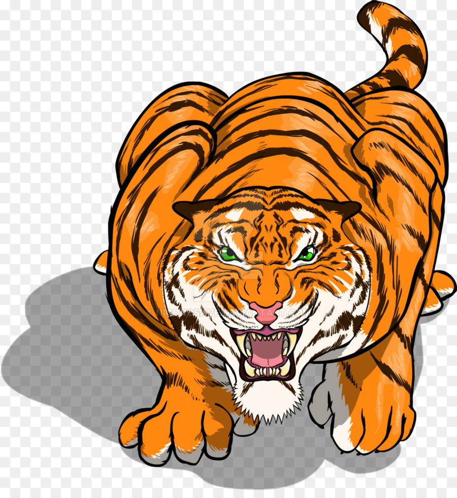 тигр，усы PNG