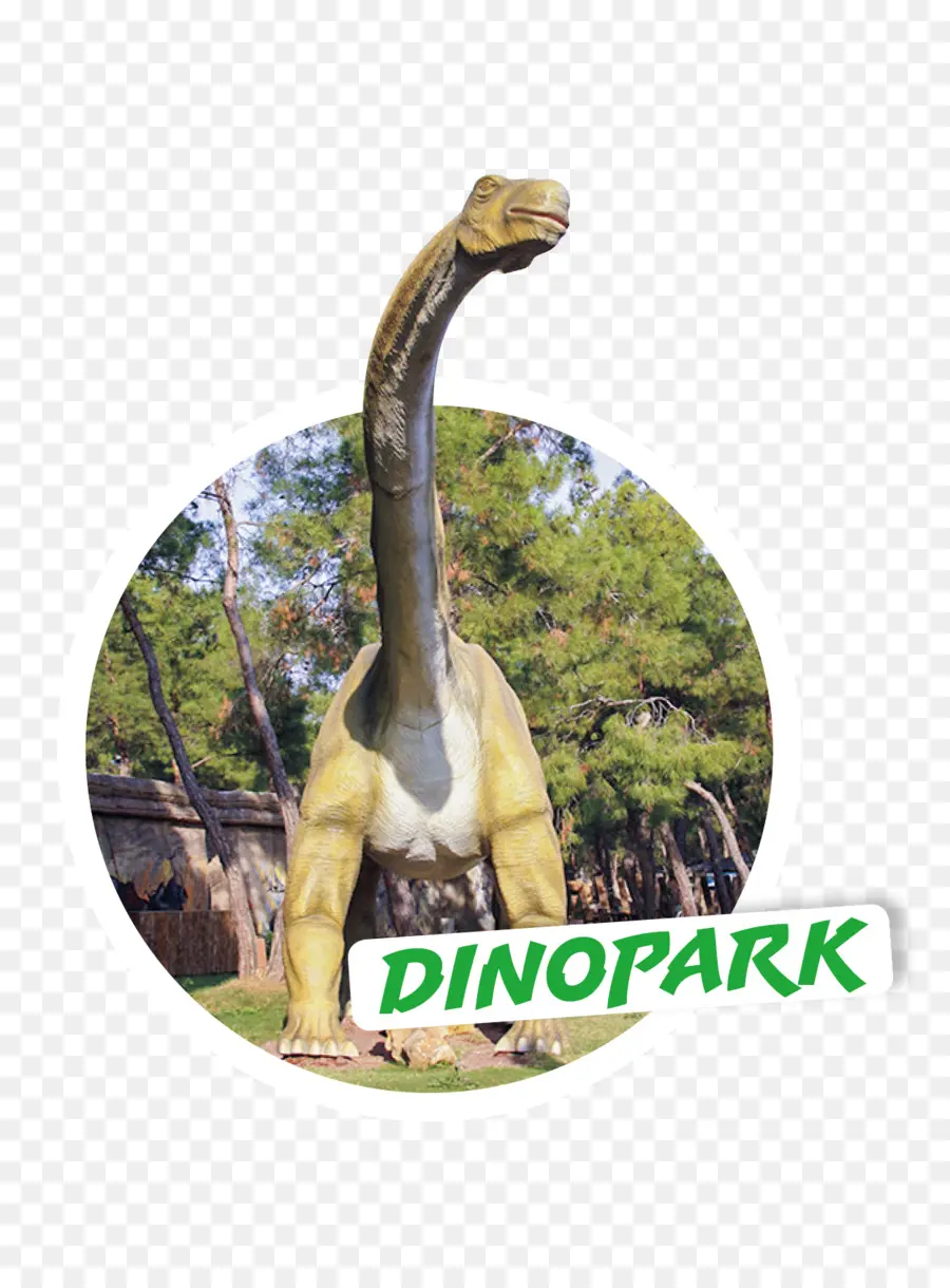 динозавр，дерево PNG
