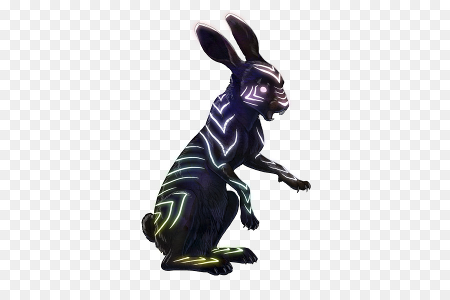 кролик，заяц PNG