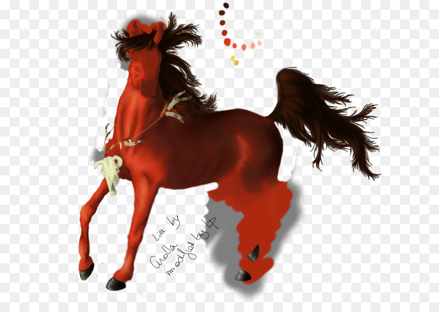 Mustang，Stallion PNG