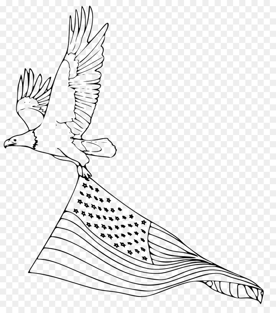 белоголовый Орлан，книжка раскраска PNG
