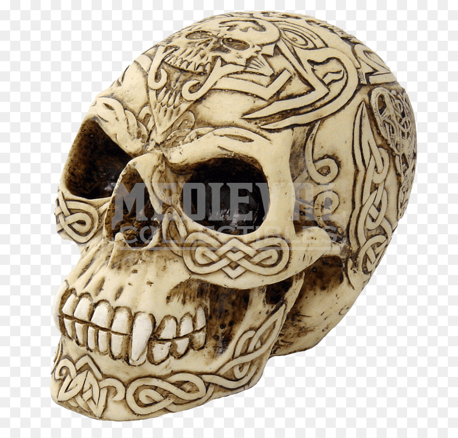 череп，человеческий череп PNG