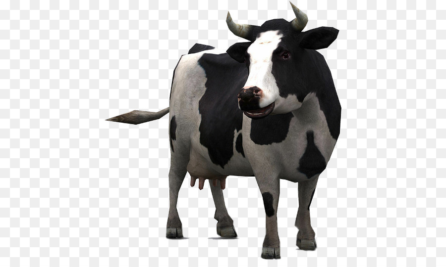 молочный скот，крупный рогатый скот PNG