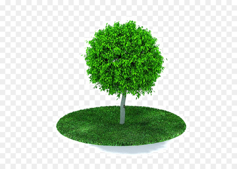 дерево，файл волнового фронта объект PNG