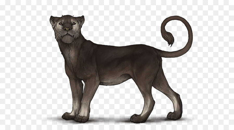 Лев，кошачьих PNG