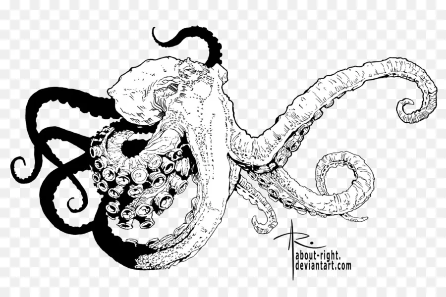 осьминог，линии искусства PNG