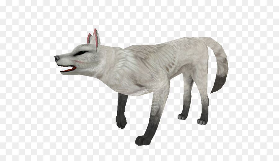 волчьей собаки сарлоса，чехословацкий влчак PNG