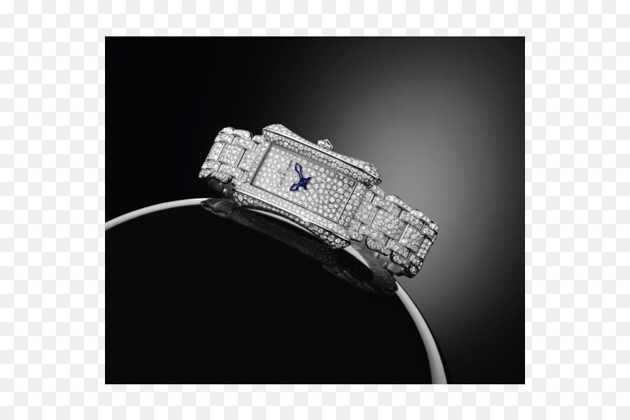 Карл Ф салонах Bucherer，Люцерн PNG