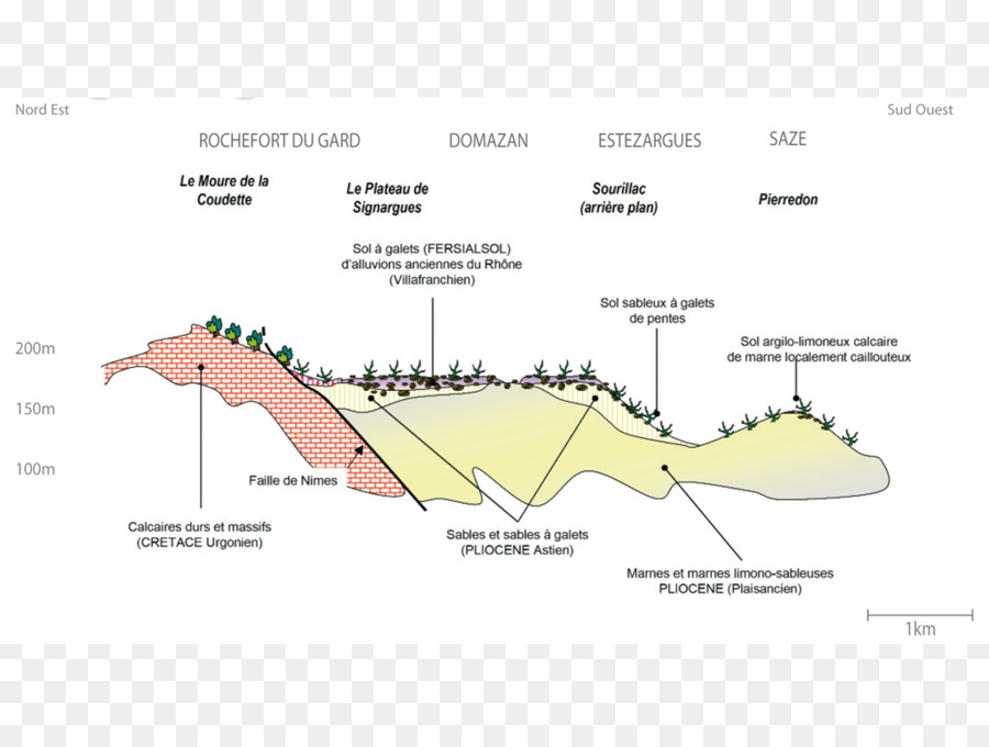 Signargues，Châteauneufdupape Aoc PNG