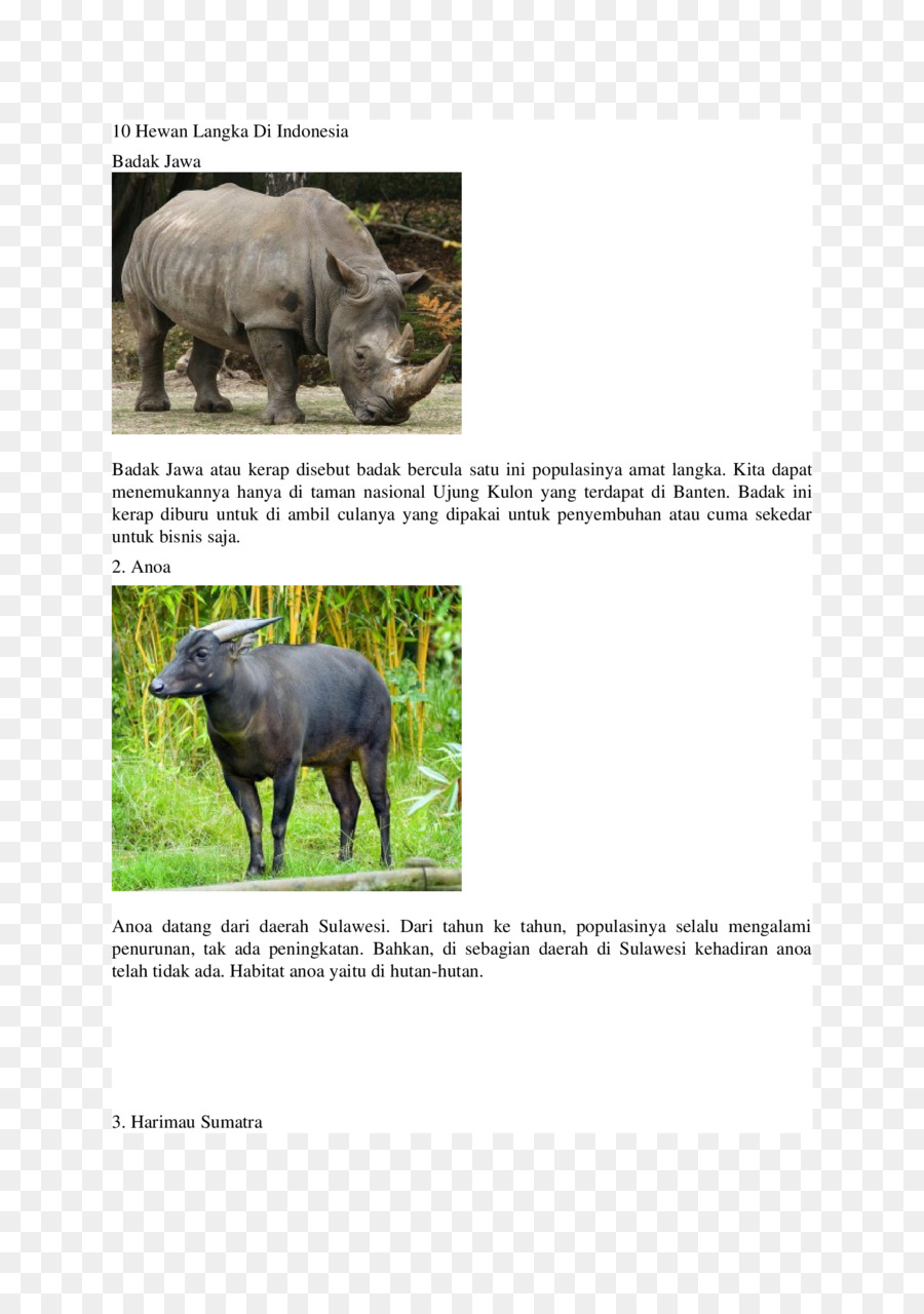 носорог，Ipad мини PNG