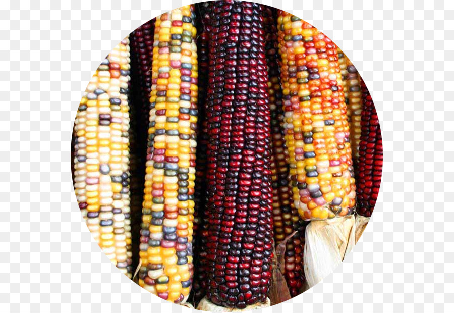 Морелия，Maize PNG