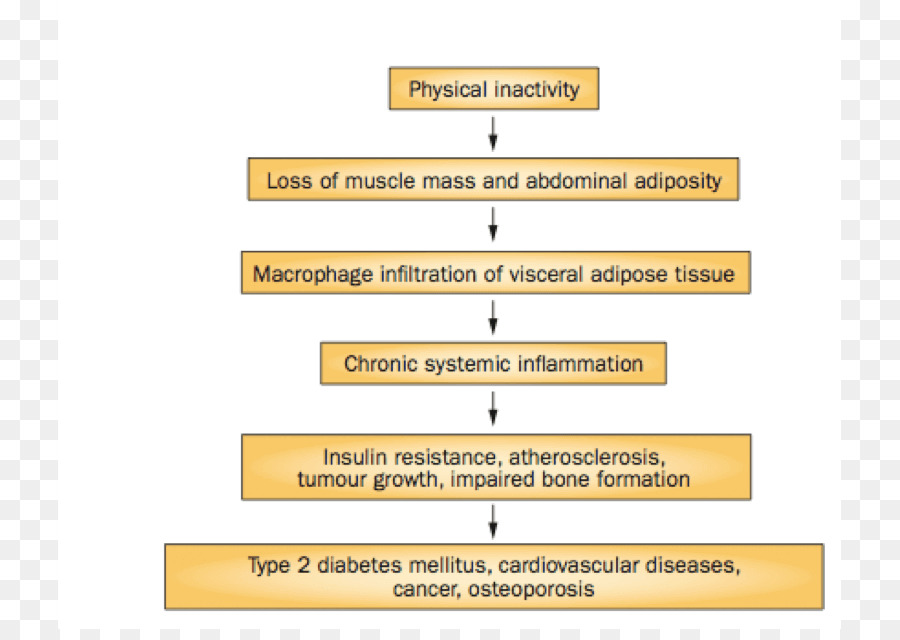 сахарный диабет 2 типа，упражнения PNG