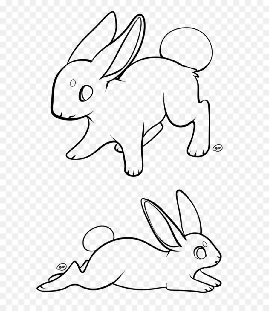 домашний кролик，кролик PNG