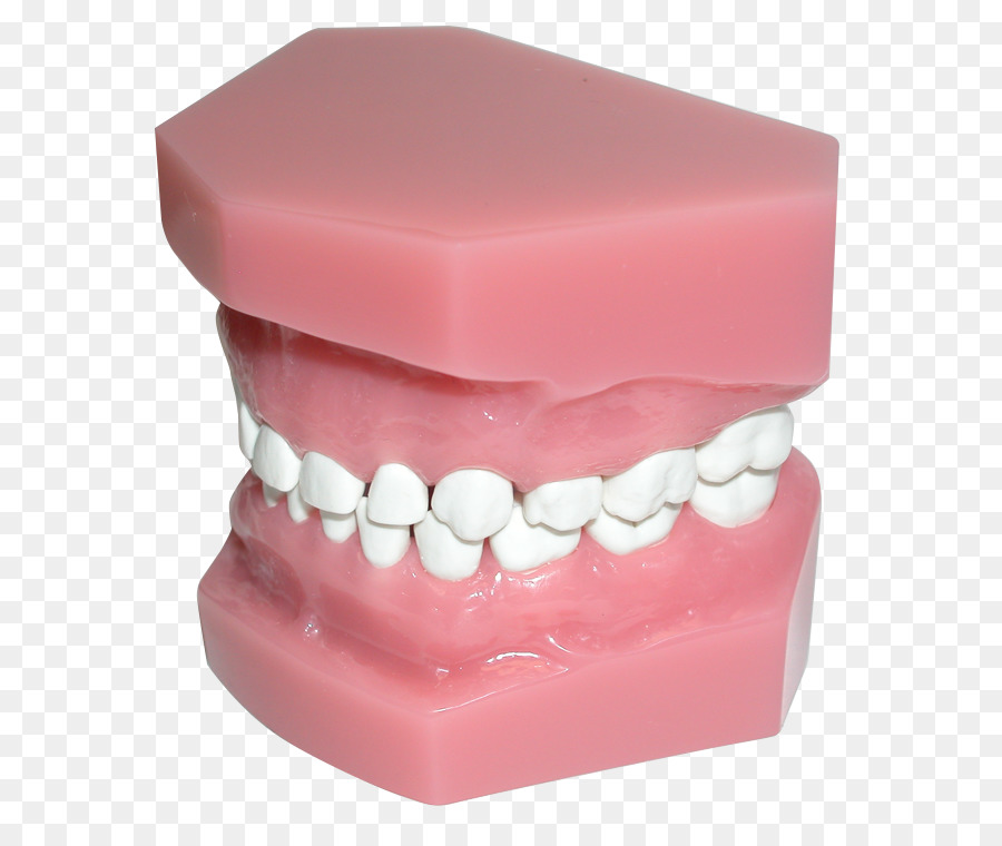 здоровья，зуб PNG