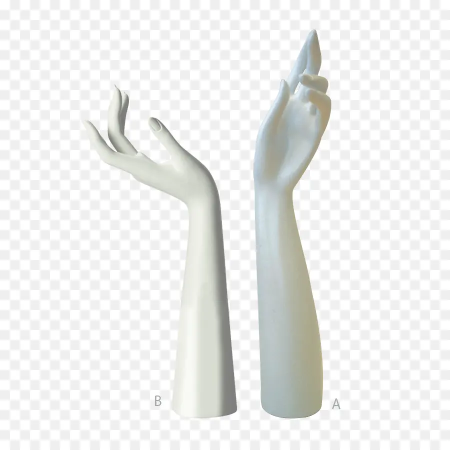 палец，рука модель PNG