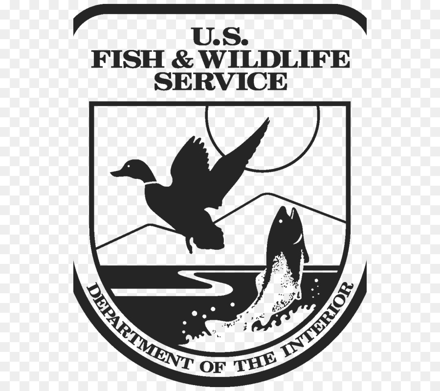 США службы рыбного и охотничьего хозяйства，дикой природы PNG