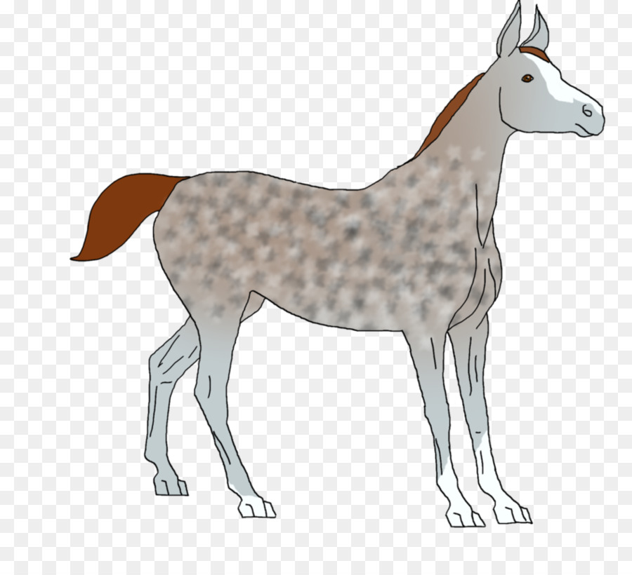 Mule，Dog Breed PNG