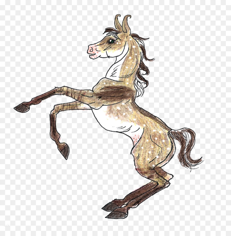 Mustang，Stallion PNG