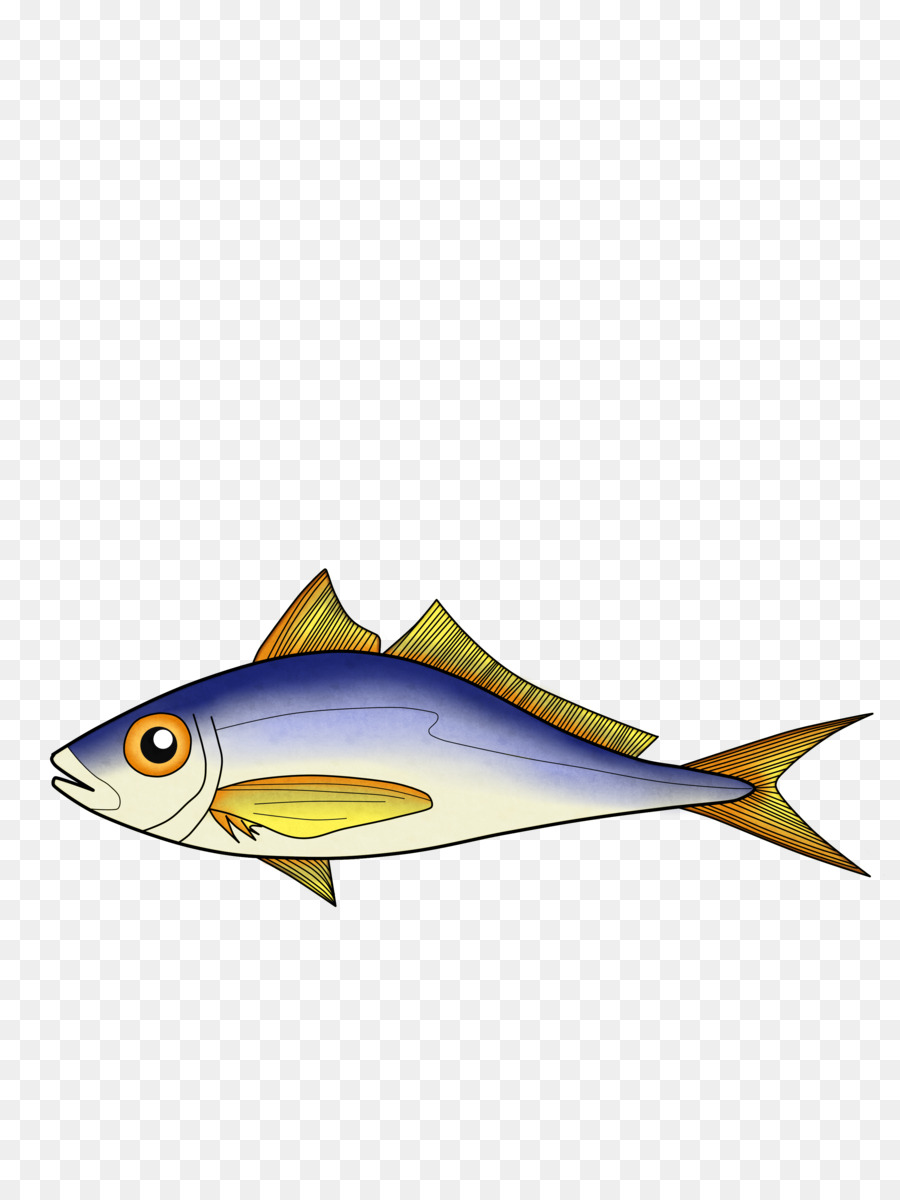 сардина，рыбы PNG