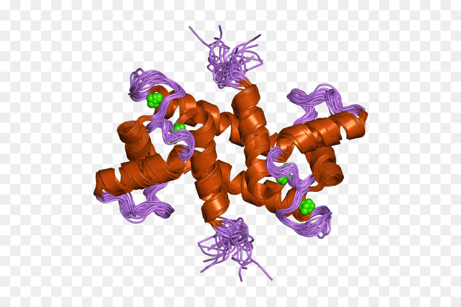 S100b，белок S100 PNG