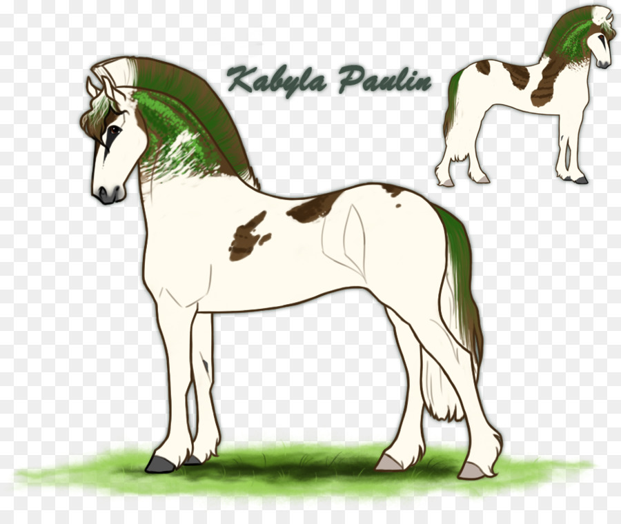 Foal，Stallion PNG