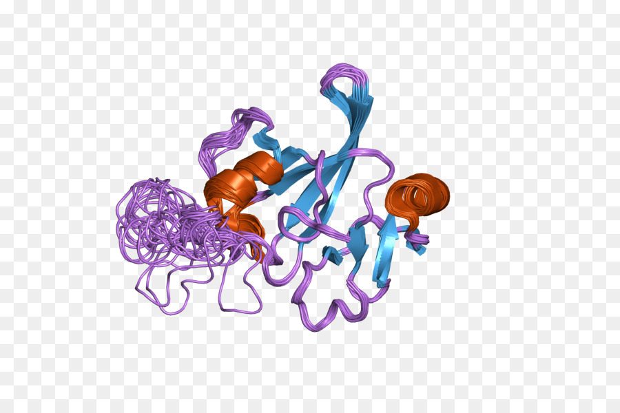 организм，фиолетовый PNG