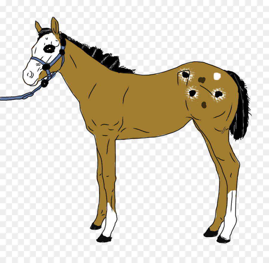 мул，андалузская лошадь PNG