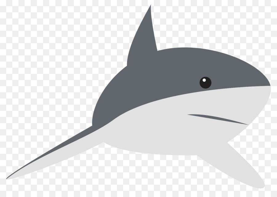 Шарк，Дельфин PNG