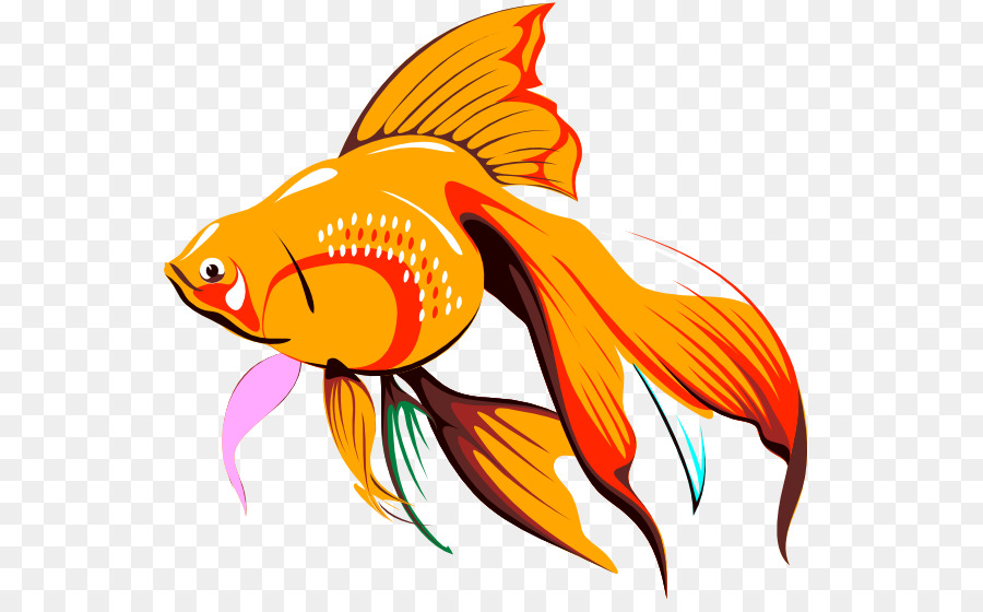 Золотая рыбка гифка на прозрачном фоне