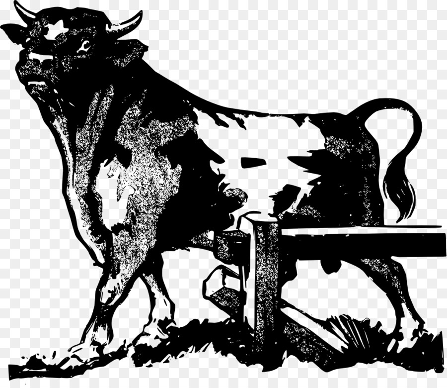 молочный скот，бык PNG