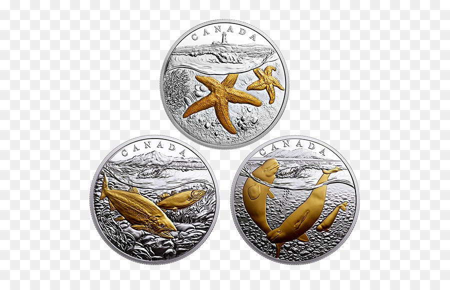серебро，монета PNG