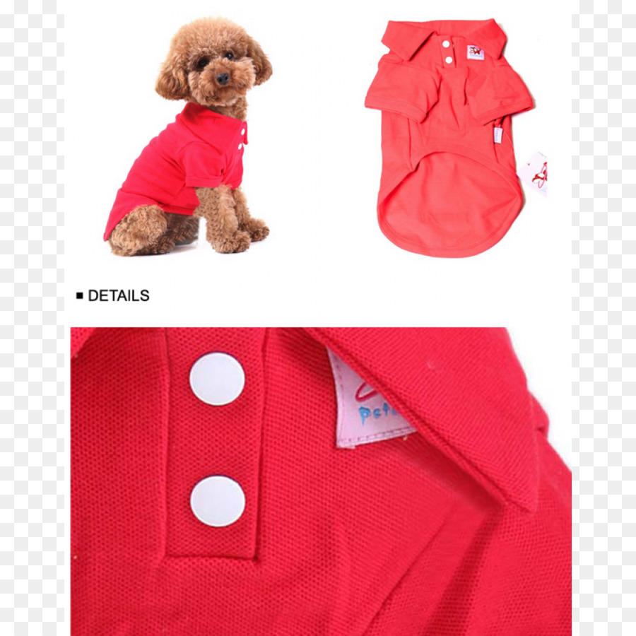 собака，одежда для собак PNG