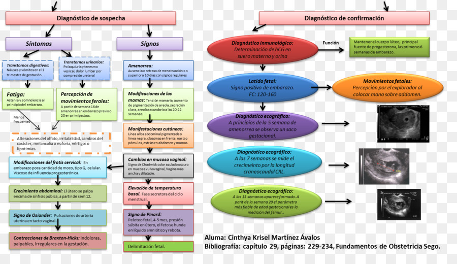 Fundamentos де Obstetrícia，акушерство и гинекология PNG