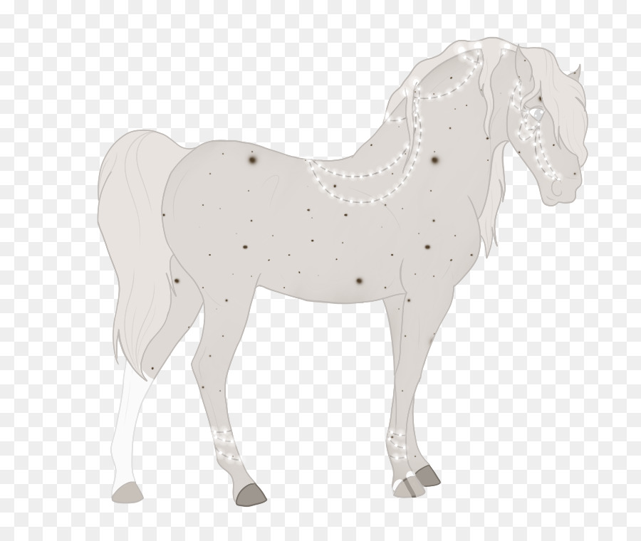 Stallion，Mustang PNG