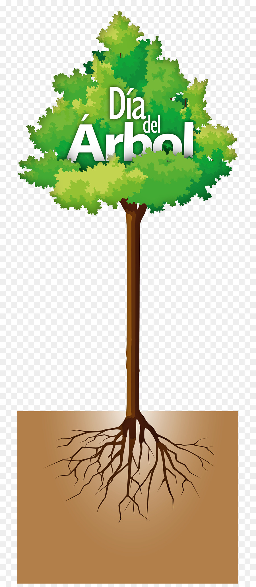дерево，день древонасаждения PNG