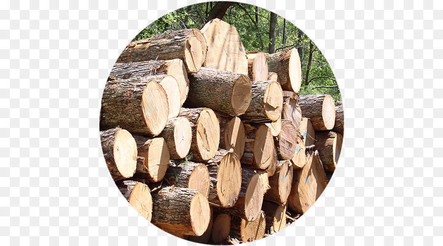 акционерное общество Тан МАИ общем древесины，строительных материалов PNG