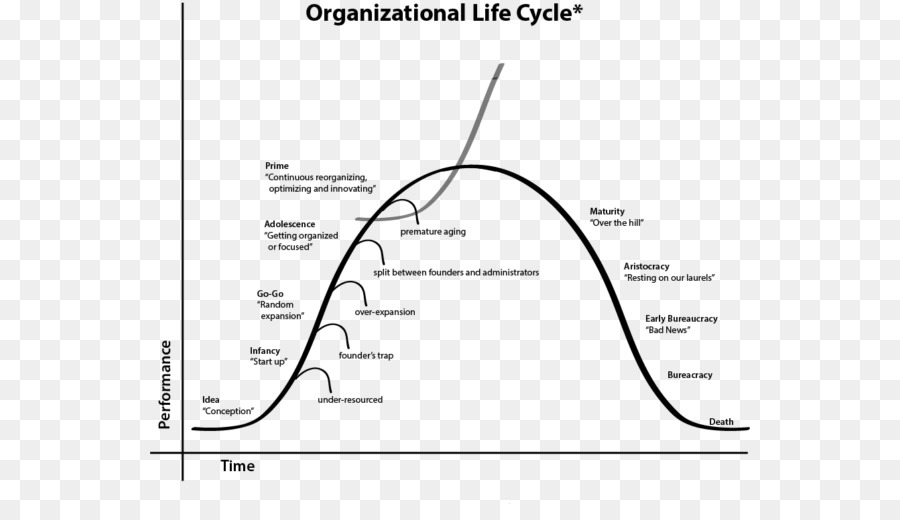 организационный жизненный цикл，организация PNG