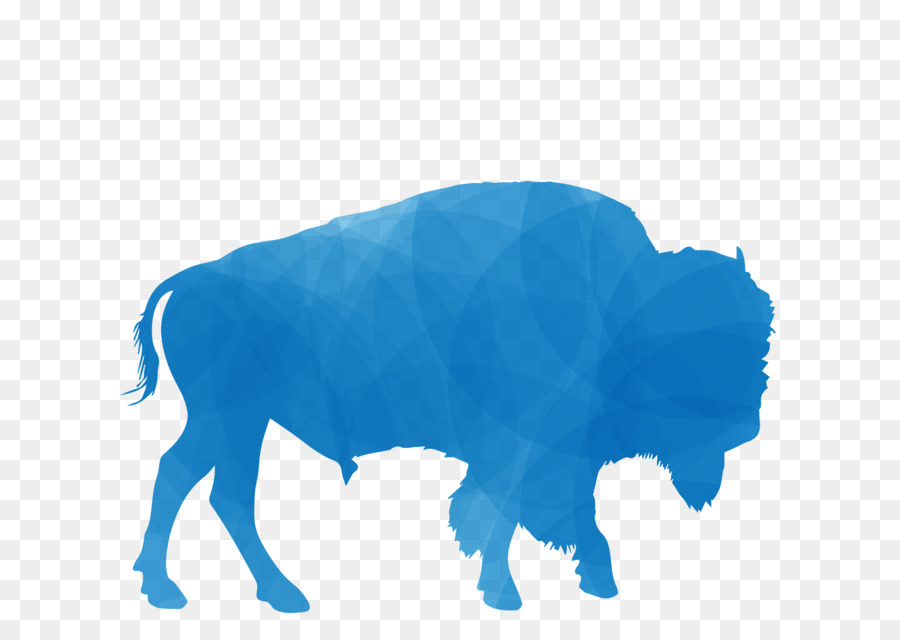 Buffalo，American Bison PNG