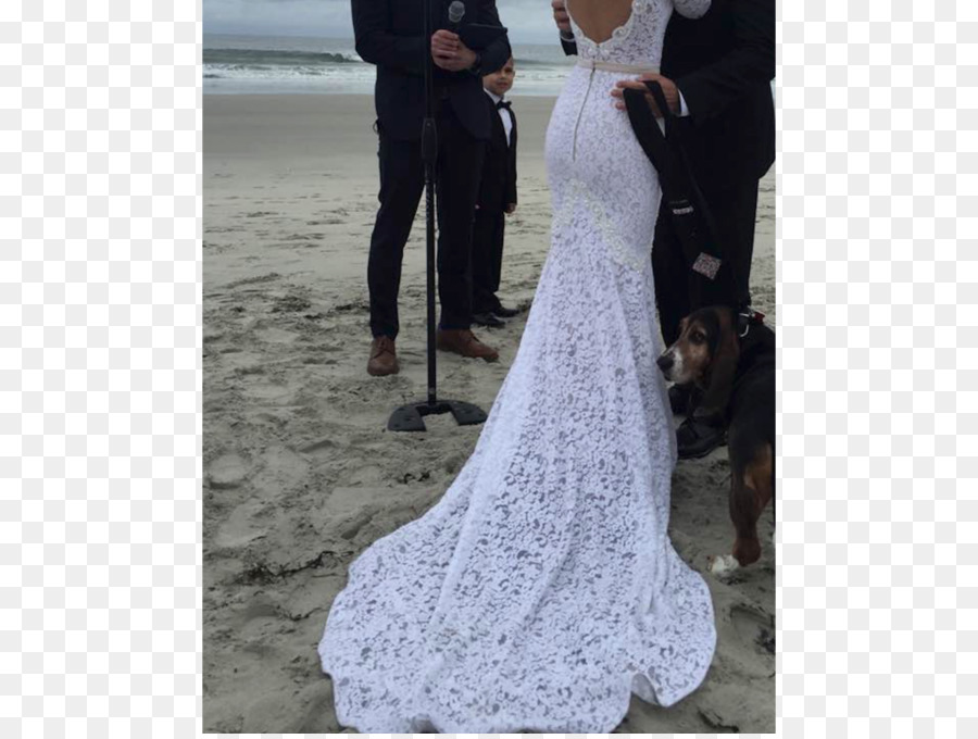 свадебное платье，свадьба PNG