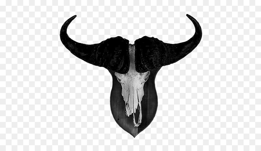 крупный рогатый скот，череп PNG