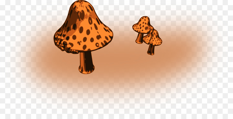 гриб，грибок PNG