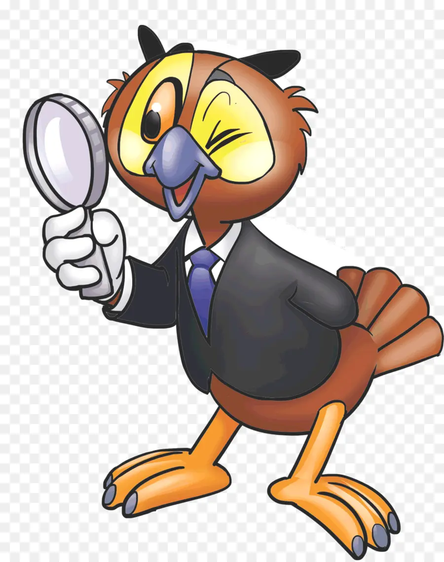 Owl，Magnifying Glass PNG