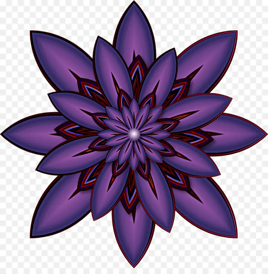 симметрия，цветущее растение PNG