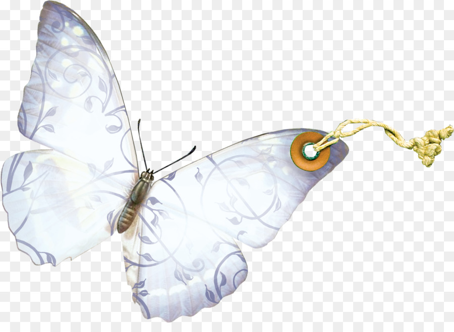 Brushfooted бабочки，бабочка PNG