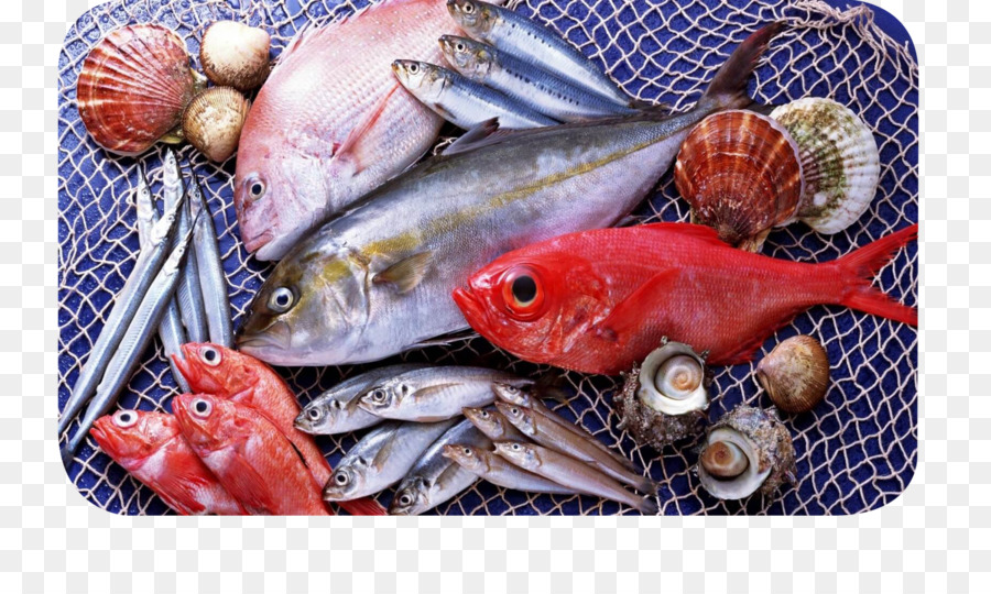 рыба，морепродукты PNG