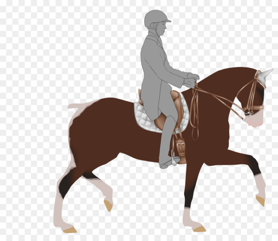 Stallion，English Riding PNG