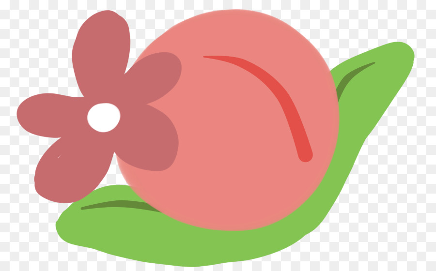 лепесток，цветущее растение PNG